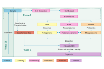 work flow chart of the prospectomics project